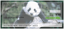 Pandas Checks Thumbnail